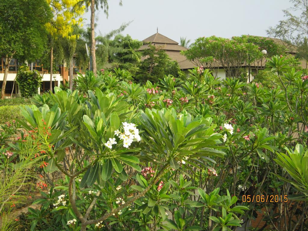 Aye Yar River View Resort Bagan Kültér fotó